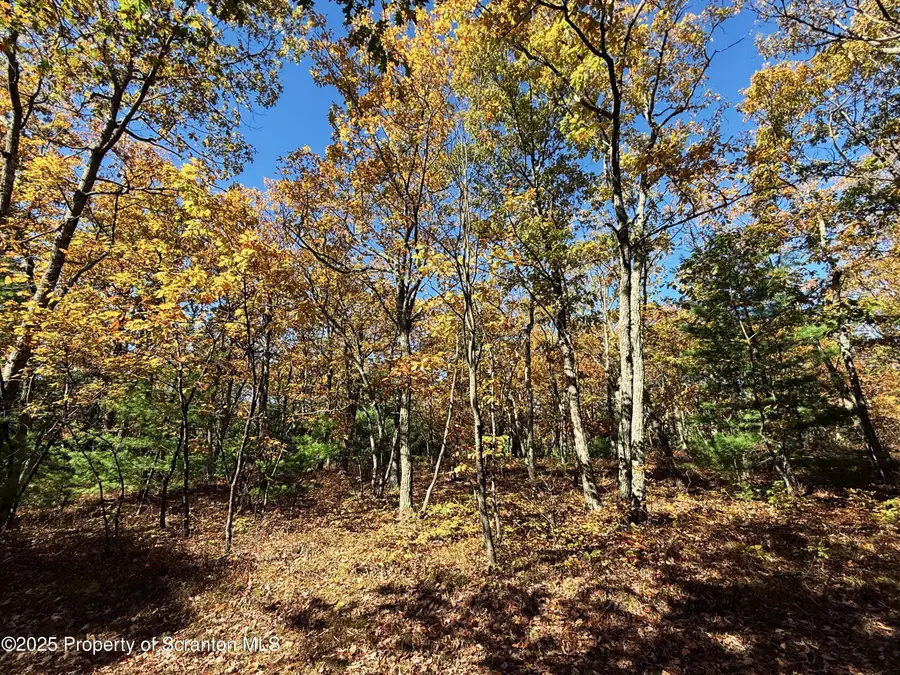 Oak Ridge #145 Drive, Dingmans Ferry, PA 18328 - Image #2