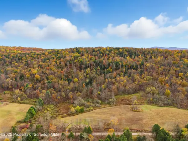 Lower Podunk Road, New Milford, PA 18834