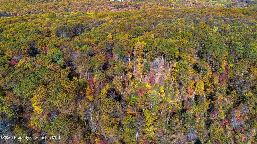 0 Robinson And Fox Road, South Canaan, PA 18459 - Image #3