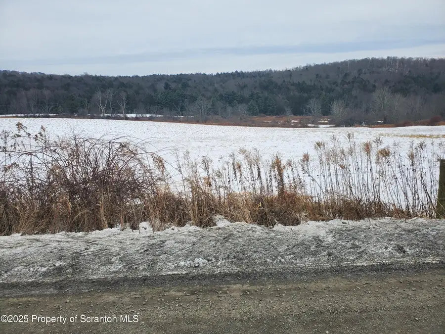 000 Lake Hill Road, Montrose, PA 18801 - #2