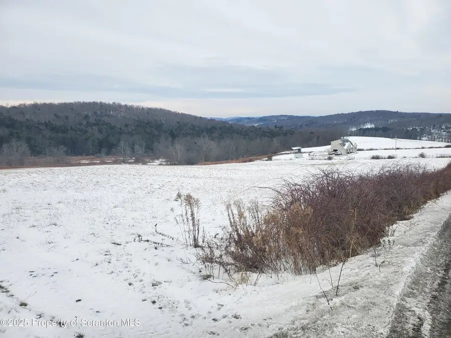 000 Lake Hill Road, Montrose, PA 18801 - #3