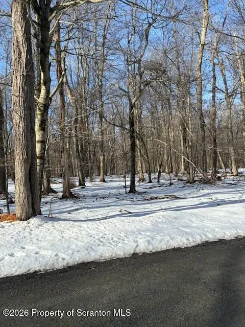 17 Teakwood Drive, Newfoundland, PA 18445 - Image #3