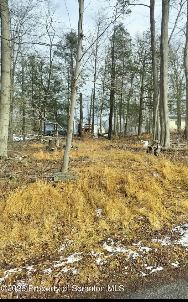 Tulip Lane & Lake Spangenber, Jefferson Twp, PA 18436