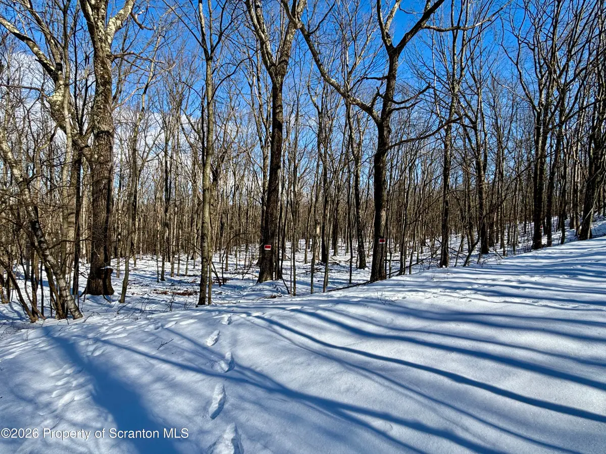 Forest Lane, Archbald, PA 18403 - Image #1