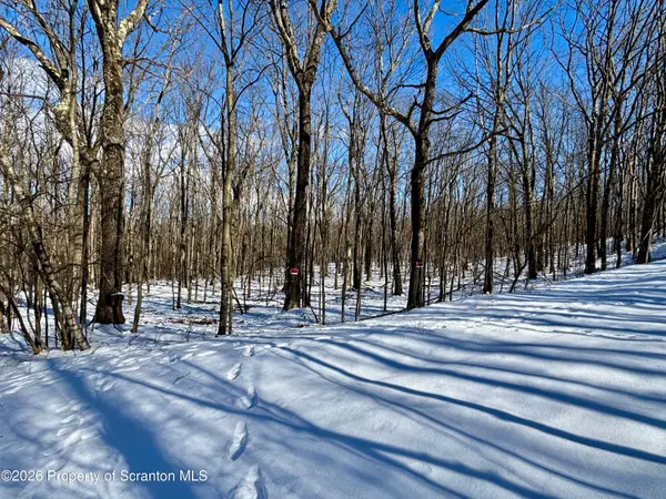 Forest Lane, Archbald, PA 18403