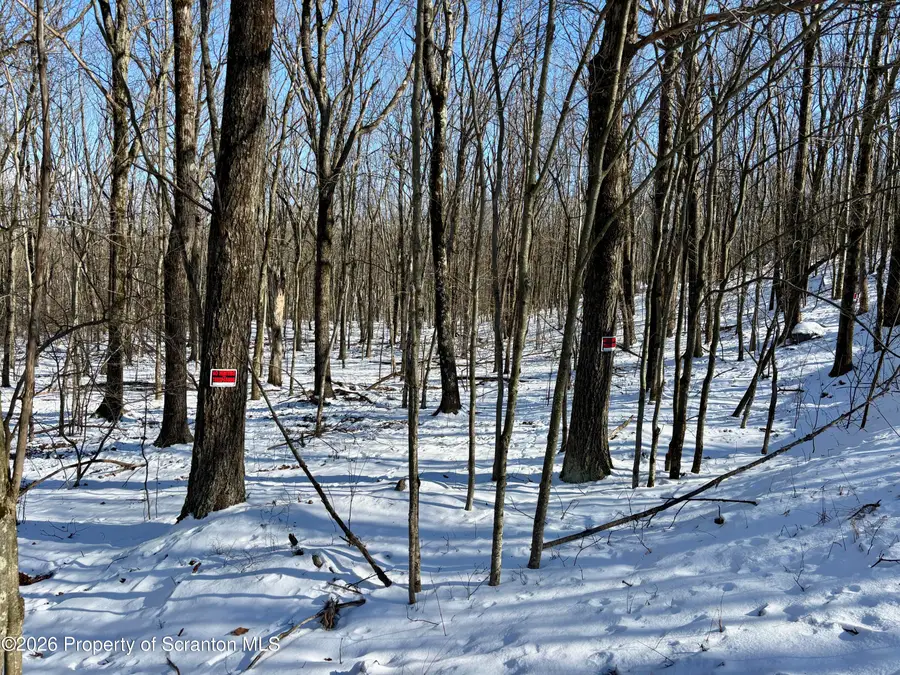 Forest Lane, Archbald, PA 18403 - Image #3