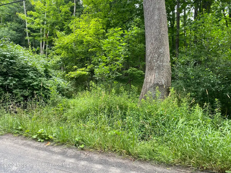 Griffin Pond Road, South Abington, PA 18411 - #2