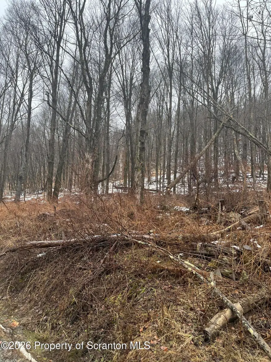 922 Hawk Road, Montrose, PA 18801 - #3