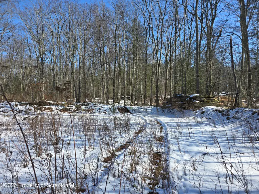 Forest Street, Kingsley, PA 18826 - #3