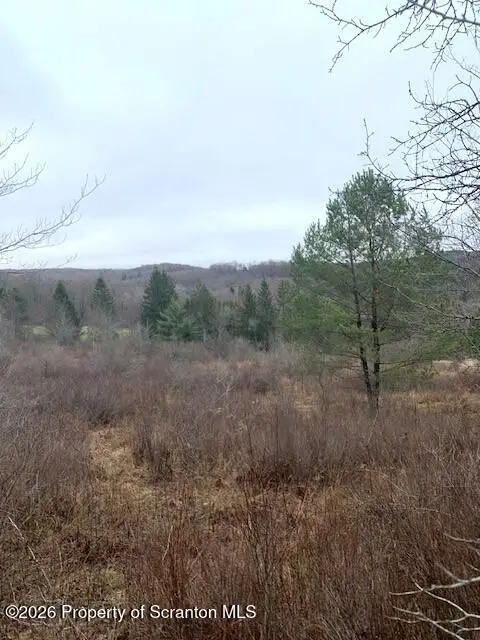 Jackson Valley Road, Little Meadows, PA 18830