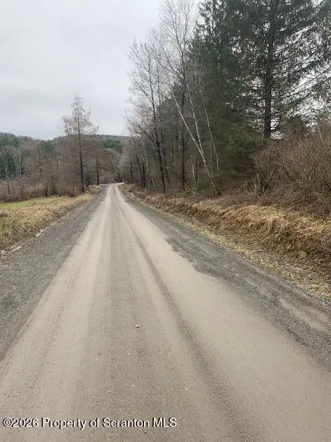 Jackson Valley Road, Little Meadows, PA 18830 - #2