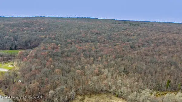 White Street, Forest City, PA 18421 - #3