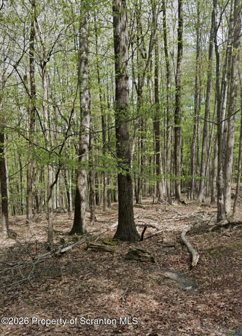 Tiffany Road, Hawley, PA 18428 - #1