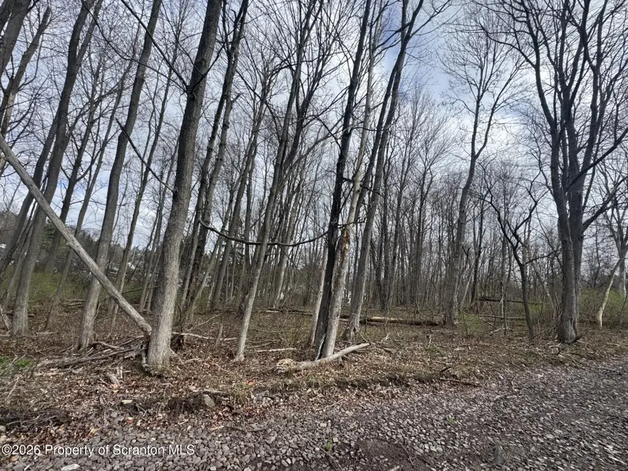 Fern Street, Clarks Summit, PA 18411 - #3