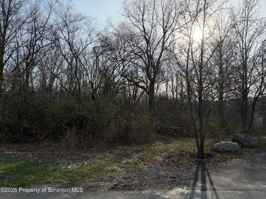 Pine St & Laurel Drive, Mayfield, PA 18433 - #2