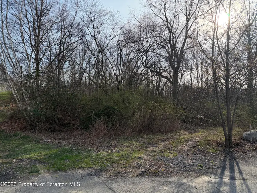 Pine St & Laurel Drive, Mayfield, PA 18433 - #3