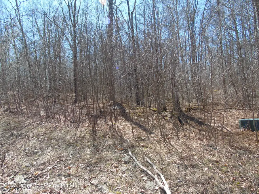 145 Summit Woods Road, Roaring Brook, PA 18444 - #2