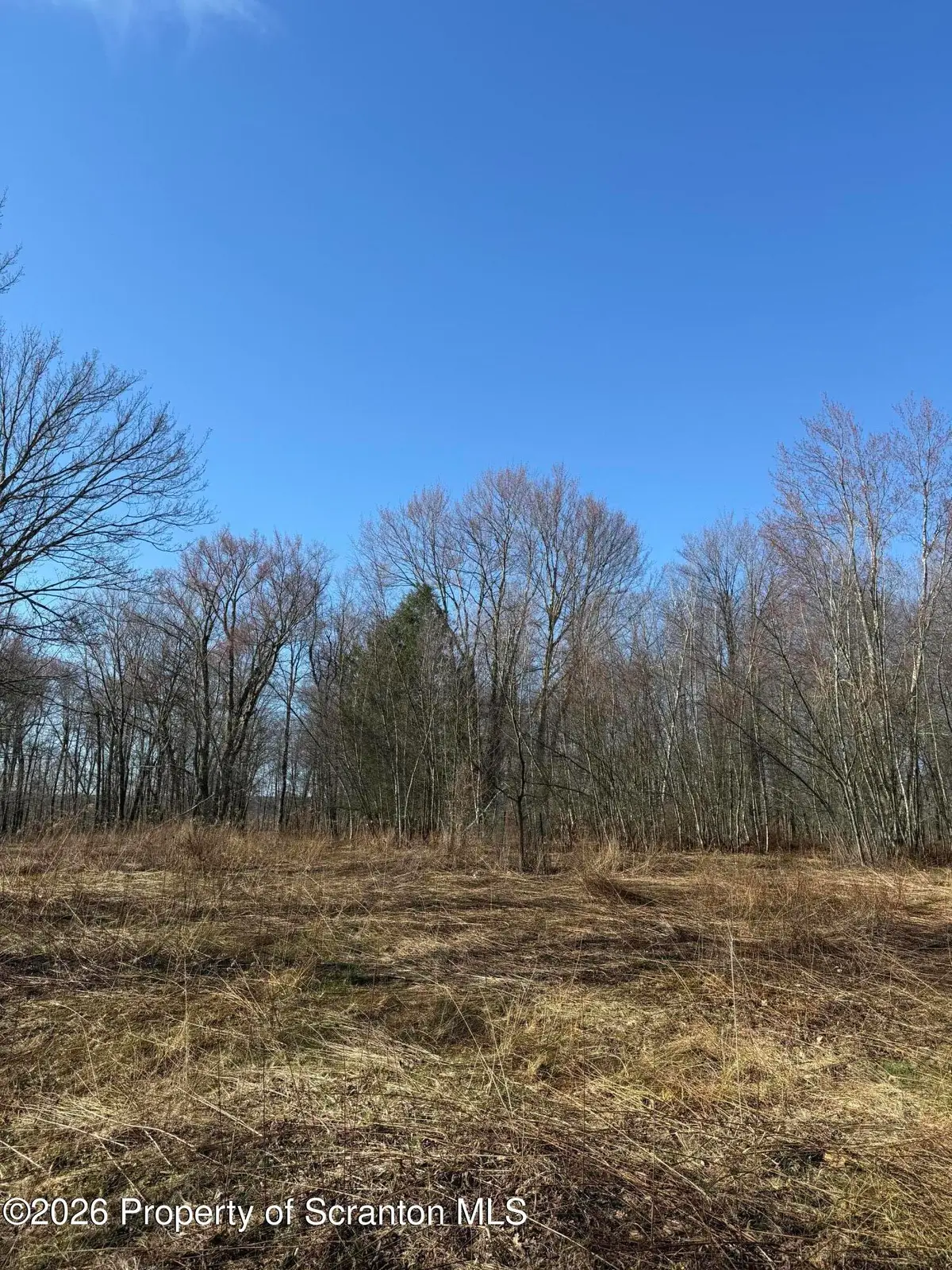 Ash Gap Road, Spring Brook, PA 18444 - #1