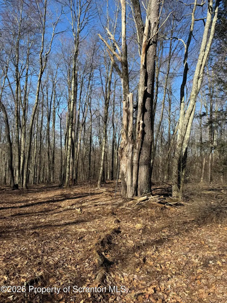 Ash Gap Road, Spring Brook, PA 18444 - #2