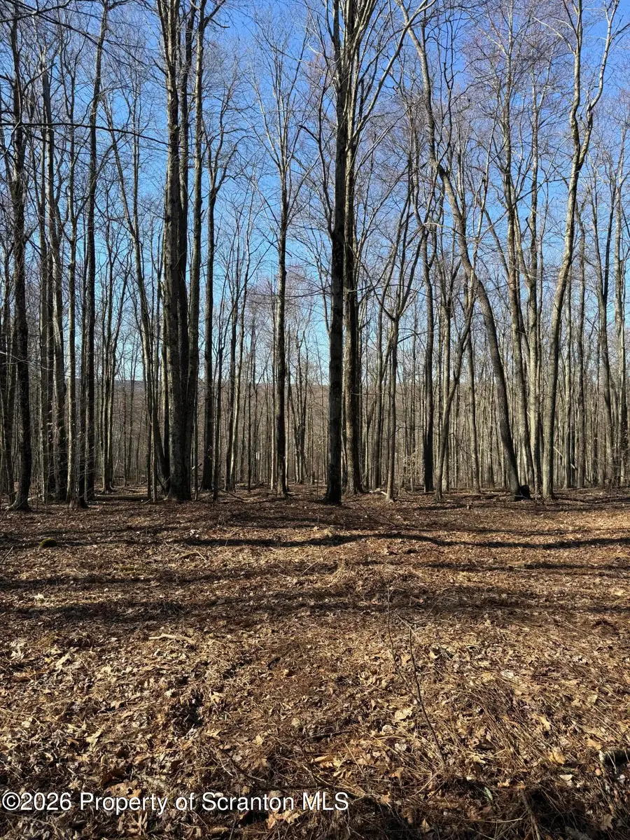 Ash Gap Road, Spring Brook, PA 18444 - #3