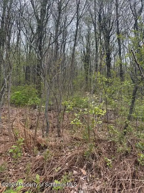 247 Wildcat Road Road, Olyphant, PA 18447