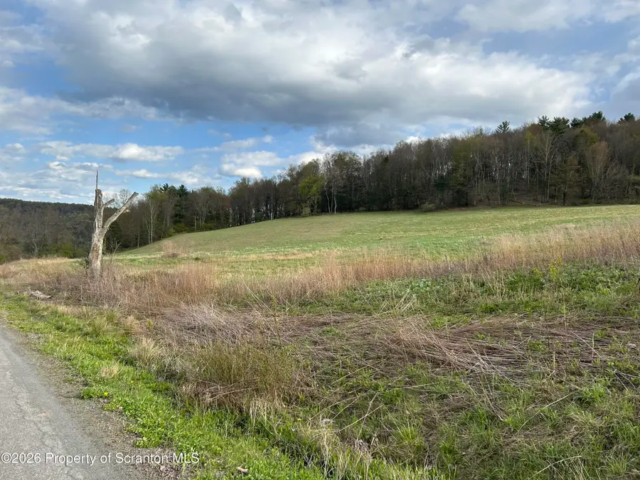State Route 3033, Montrose, PA 18801 - #3