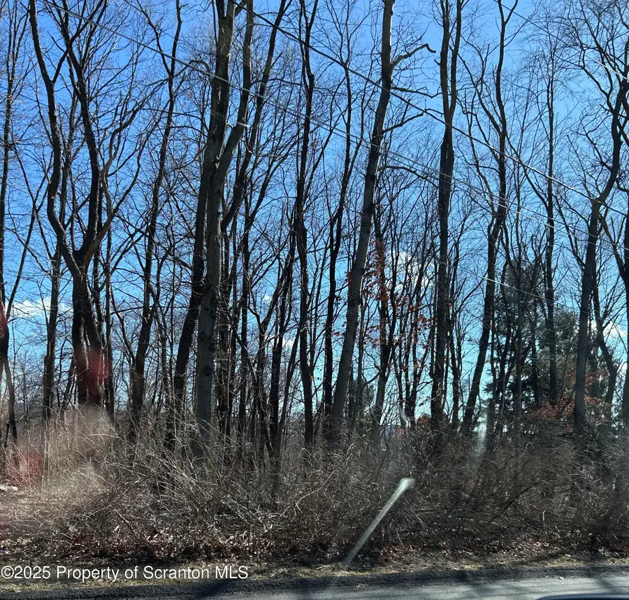 Virginia Avenue, Peckville, PA 18452 - #2