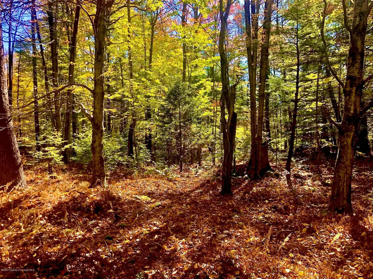 36 Kimberly Circle, Thornhurst, PA 18424 - #1
