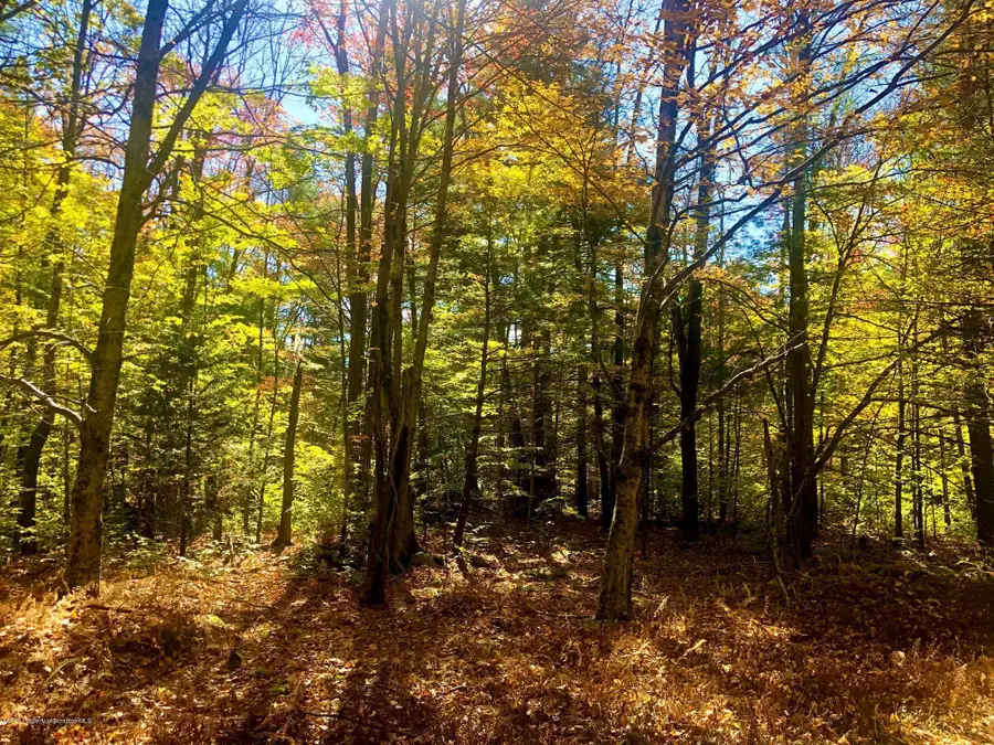 36 Kimberly Circle, Thornhurst, PA 18424 - #3