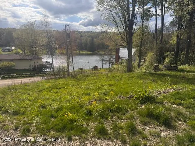 Loomis Road, Montrose, PA 18801 - #2
