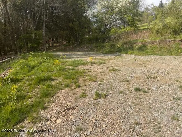 Loomis Road, Montrose, PA 18801 - #3