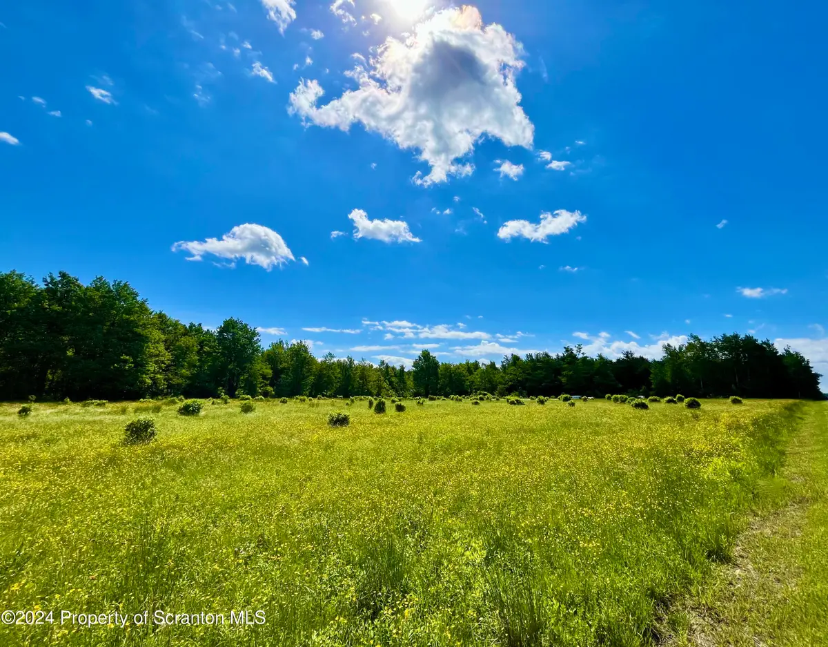 9755 State Route 171, Union Dale, PA 18470 - #1