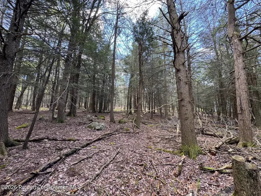 18 Cherrywood Drive, Sterling, PA 18463 - #3