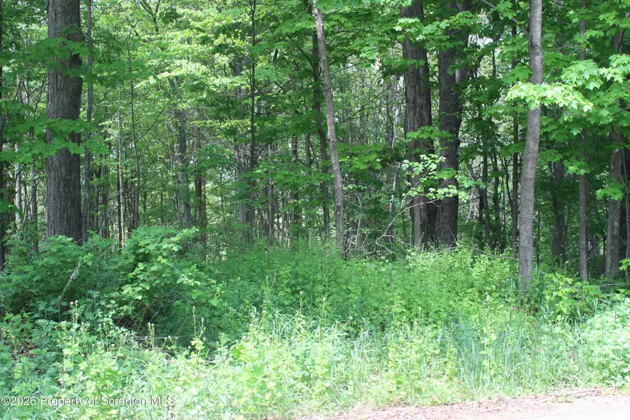 Bailor, Covington, PA 18444 - #3