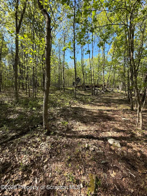 Forest Lane & Apple, Jefferson Twp, PA 18436