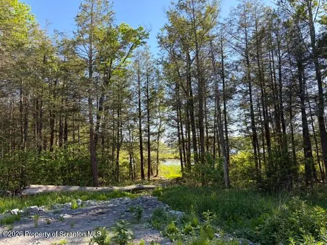 Grouse Hill Road, Greenfield, PA 18407 - #2