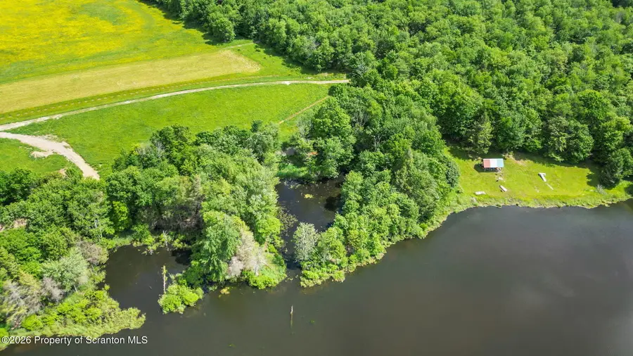 Skinny Dip Lane, Pleasant Mount, PA 18453 - #2