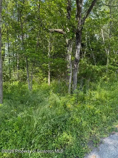 Shust Road, Greenfield, PA 18407 - #2