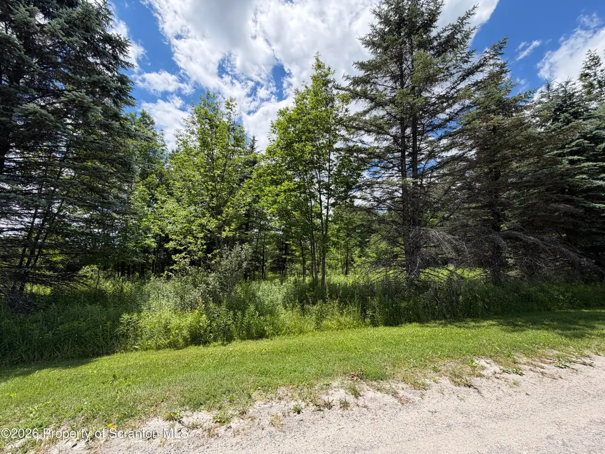Mountain Drive, Thompson, PA 18465 - #1