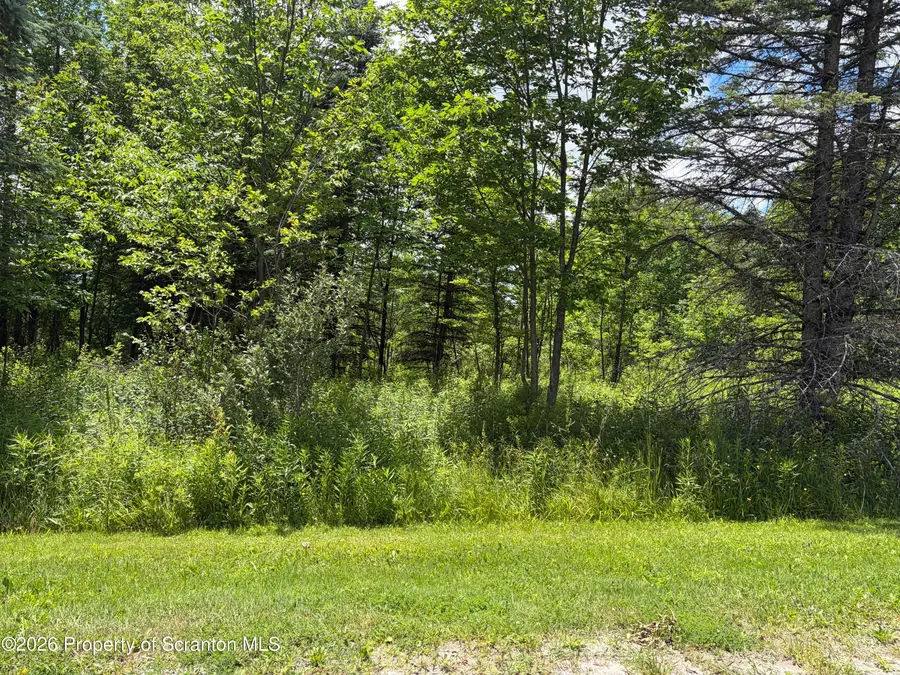 Mountain Drive, Thompson, PA 18465 - #2