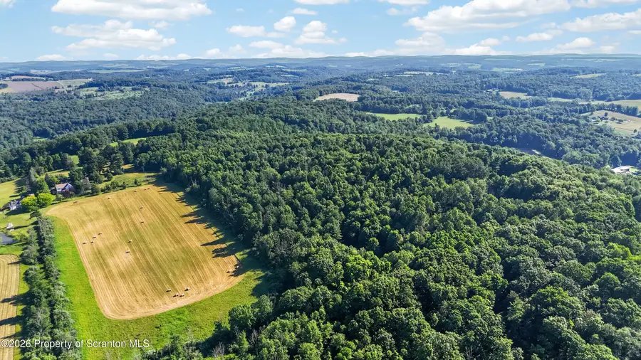 Limoli Road, Wyalusing, PA 18853 - #3