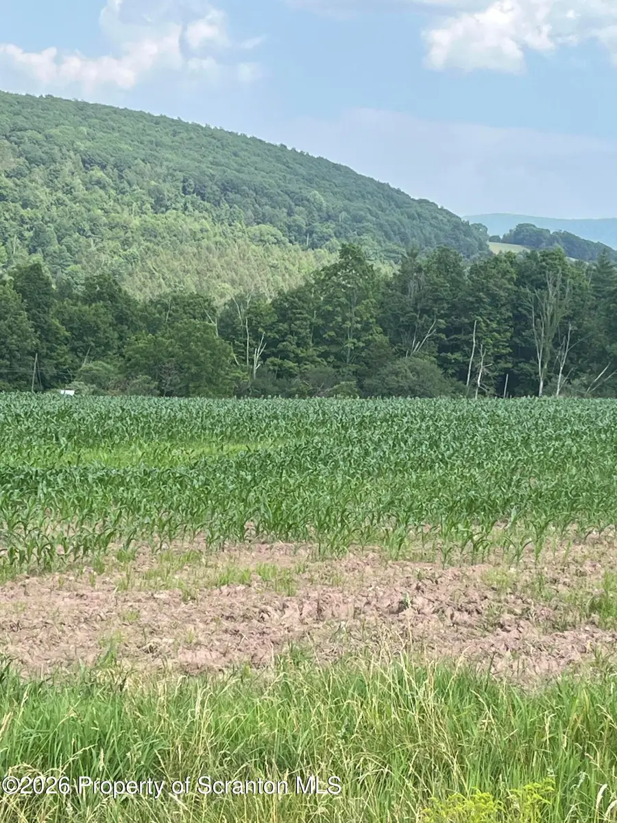 250 Fire Works Lane, Mehoopany, PA 18629 - #3