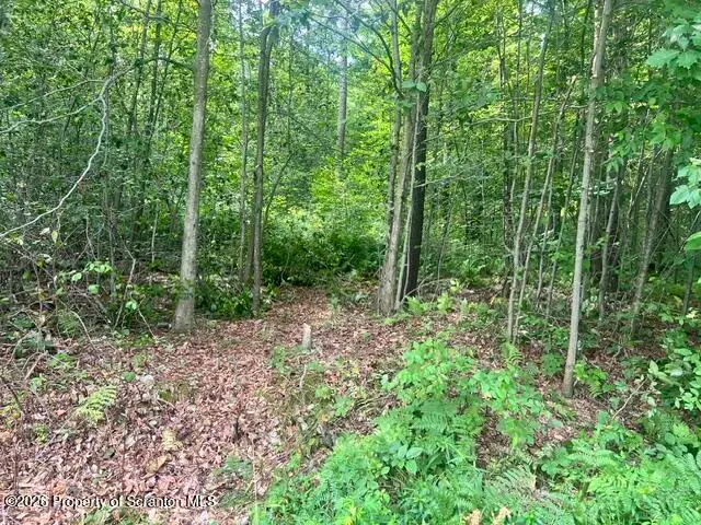 840 Maplewood (1.43 Acre Lot) Road, Lake Ariel, PA 18436 - #3