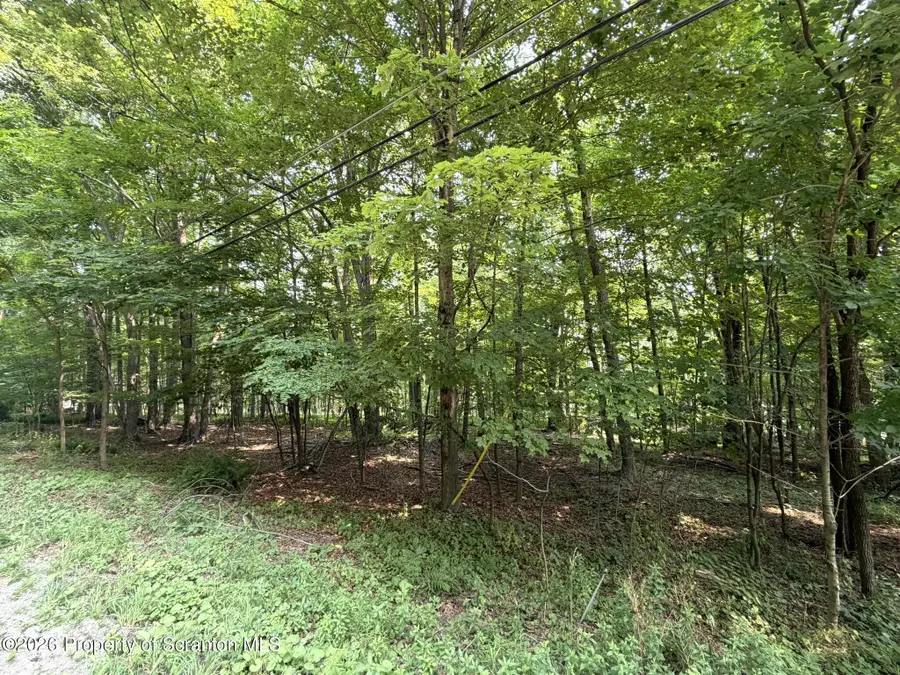 State Route 2067, Clifford, PA 18470 - #2