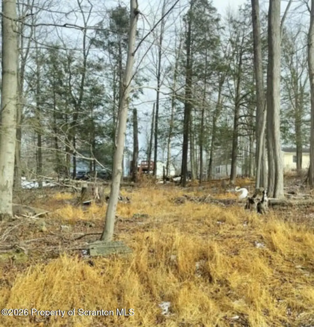 Tulip Lane & Lake Spangenberg Road, Jefferson, PA 18436 - #1