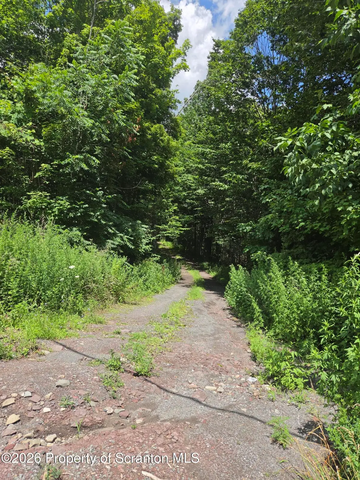 Lot 2 & 3 Scranton Pocono Highway, Covington, PA 18444 - #1