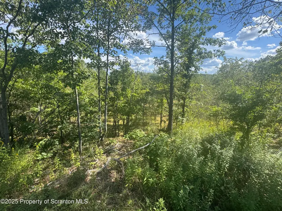 Mt Cobb Road, Roaring Brook, PA 18444 - #2