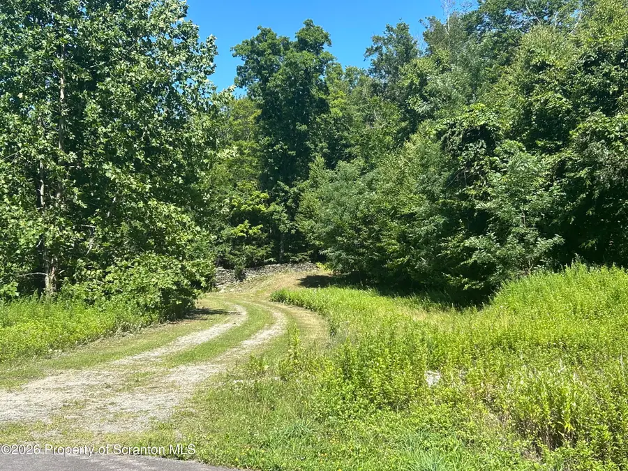 262 Victory Lane, Dalton, PA 18414 - #3