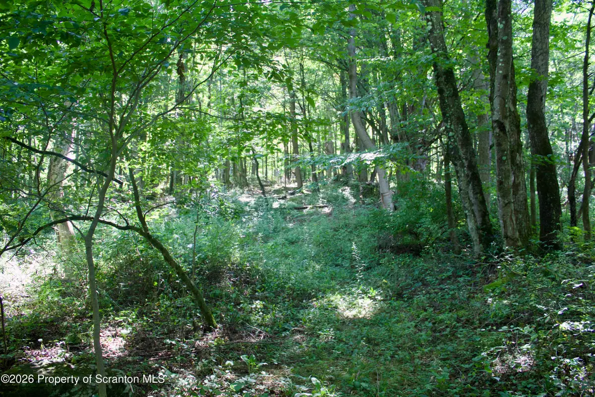 Belcher Road, Union Dale, PA 18470 - #1