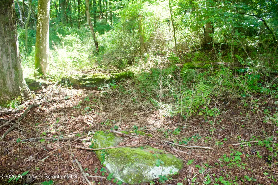 Belcher Road, Union Dale, PA 18470 - #2